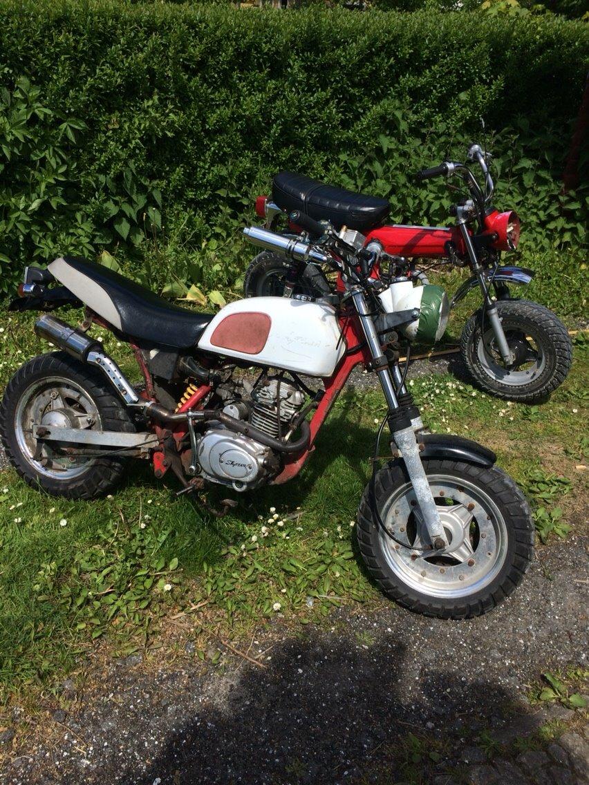 Skyteam Cobra 5 gear solgt billede 9