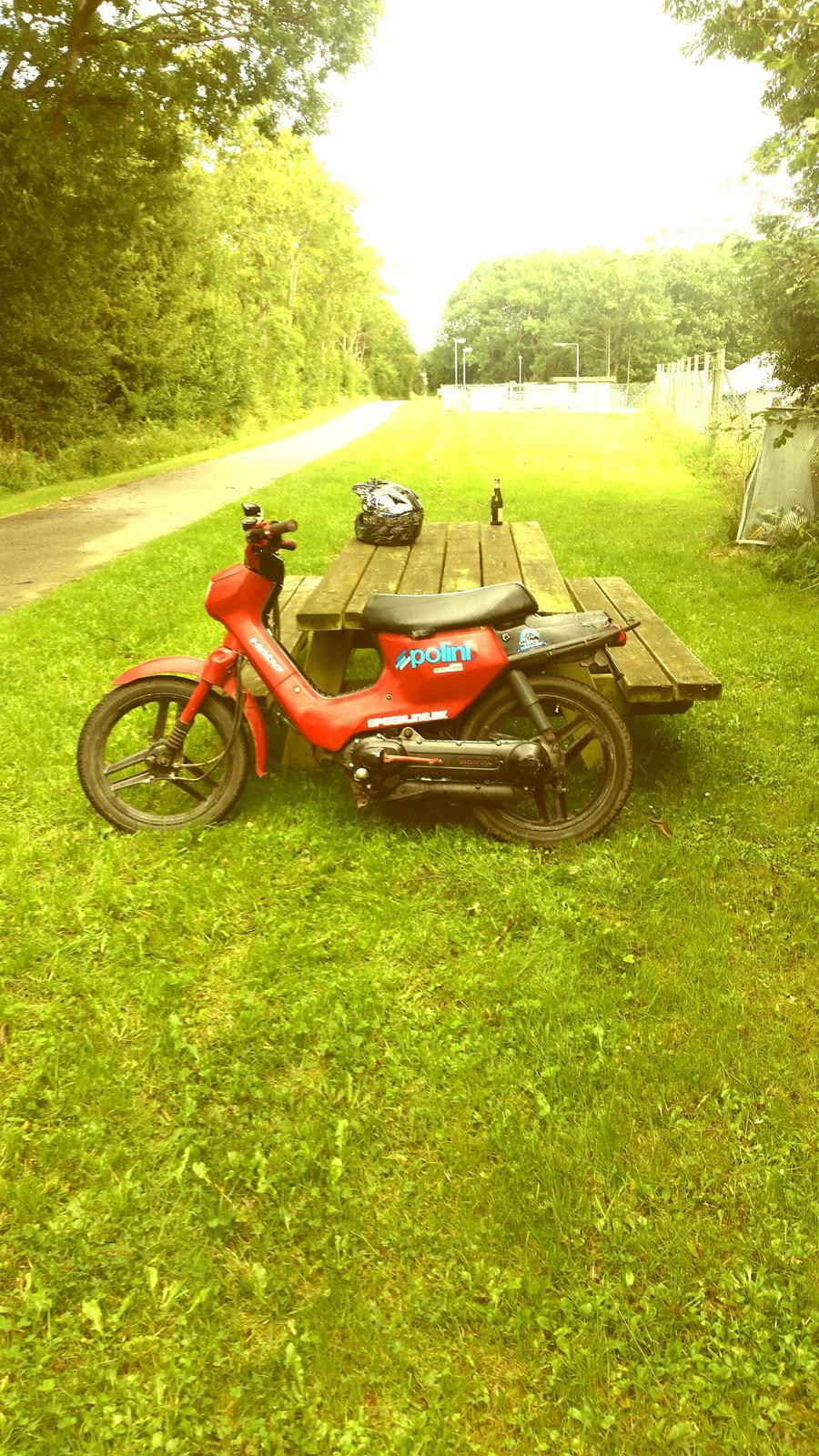 Honda Wallaroo billede 1