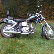Jensen HD50E
