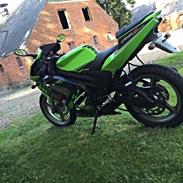 Rieju Rieju RS2 Matrix ´Kawasaki ninja`