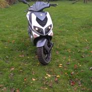 Peugeot speedfight 2