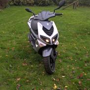 Peugeot speedfight 2