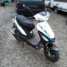 VGA Digita (vinter ged)