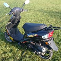 Giantco Sprint Sport