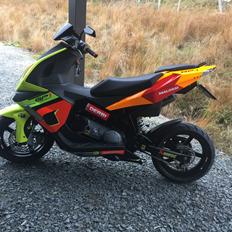 Derbi GP1 Racing - Malossi Replica