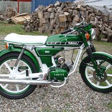 Yamaha Fs1 DX