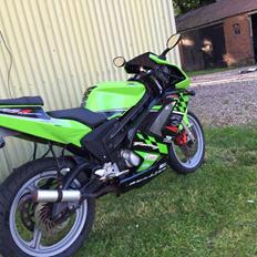 Rieju Rieju RS2 Matrix ´Kawasaki ninja`