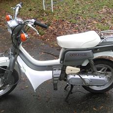 Suzuki Fz50 