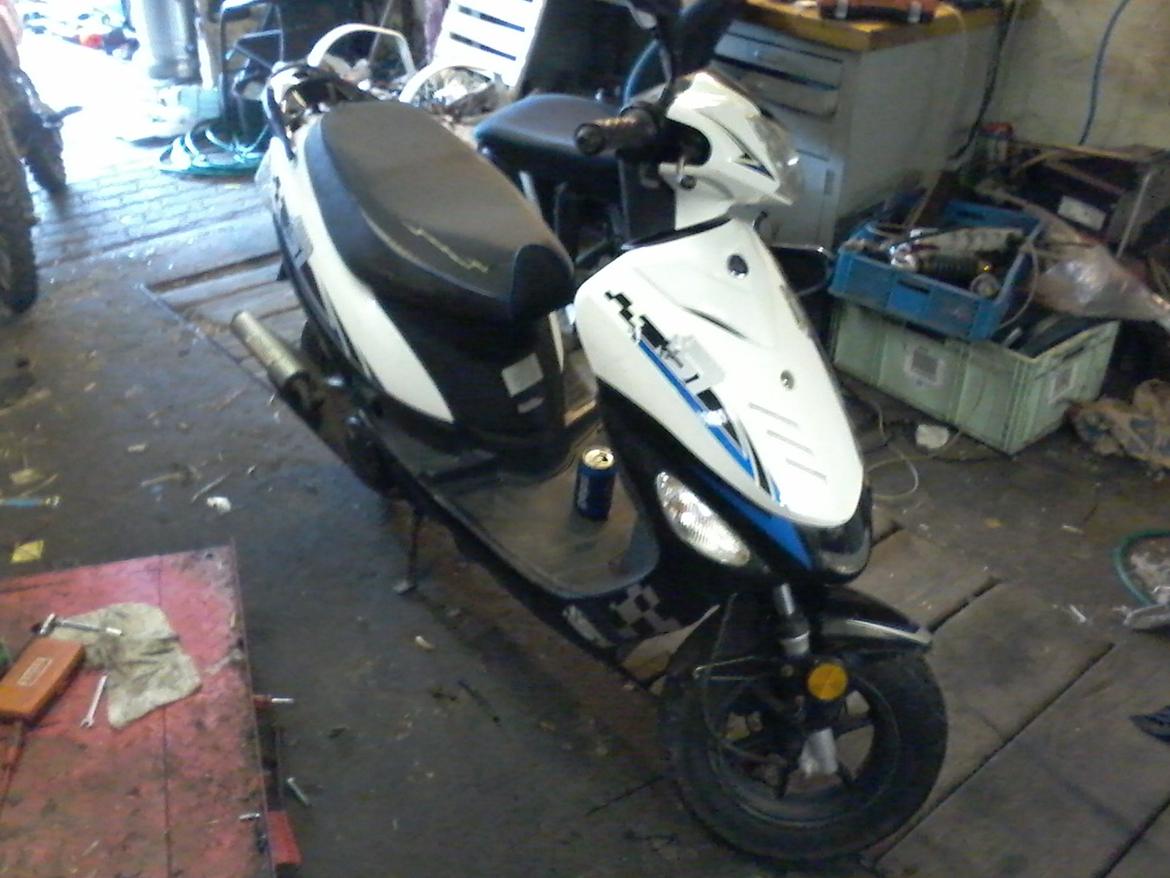 VGA Digita (vinter ged) billede 1