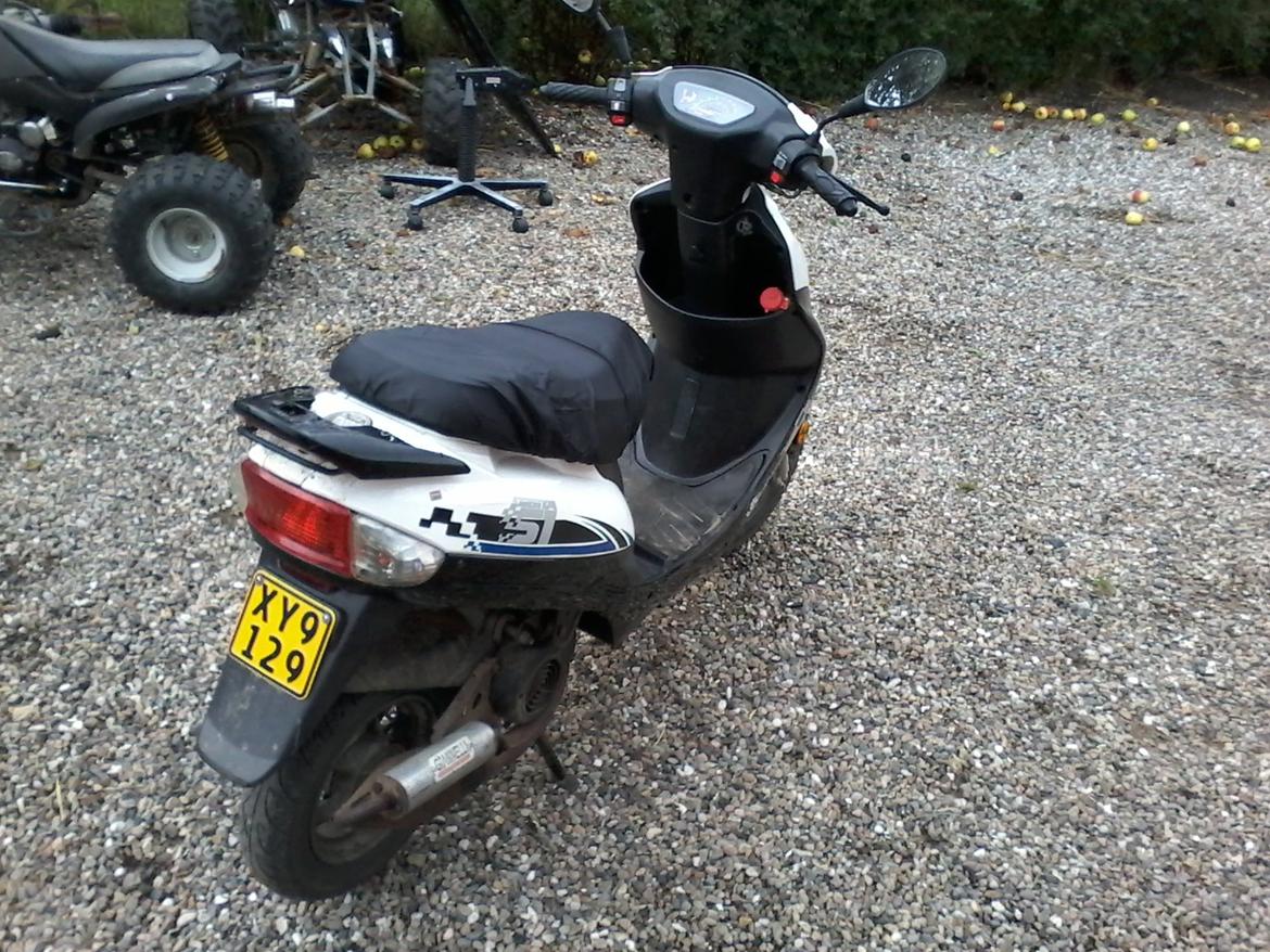 VGA Digita (vinter ged) billede 4