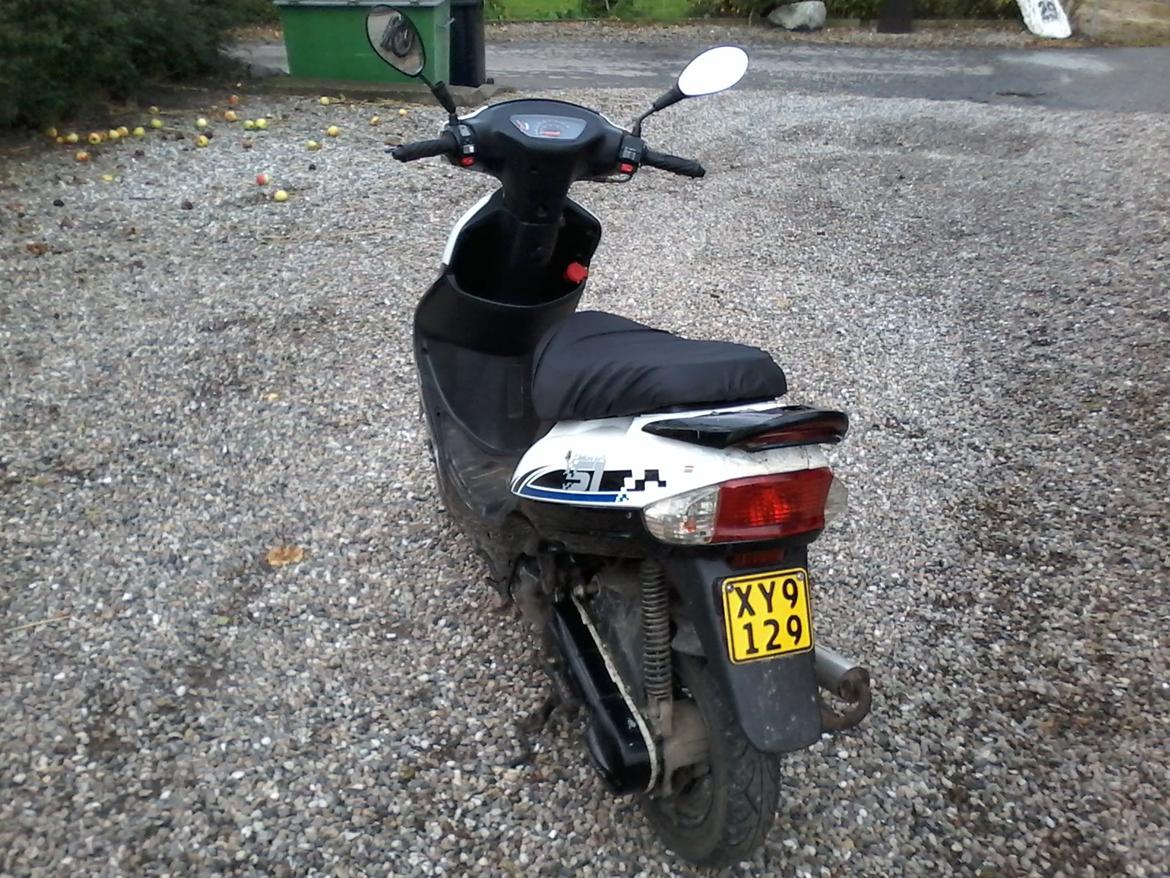 VGA Digita (vinter ged) billede 5