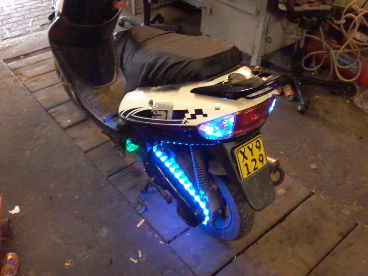 VGA Digita (vinter ged) billede 7