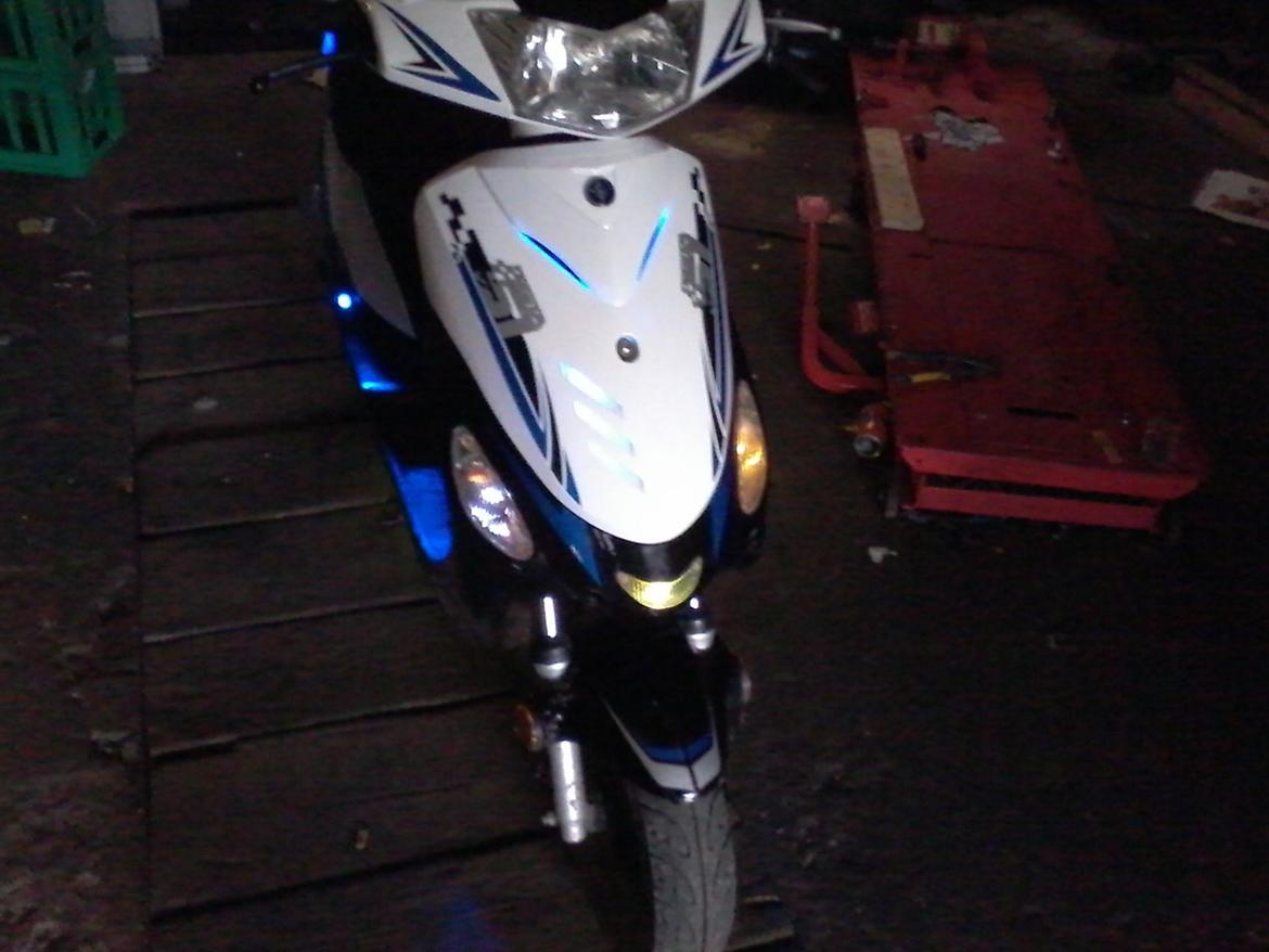 VGA Digita (vinter ged) billede 8