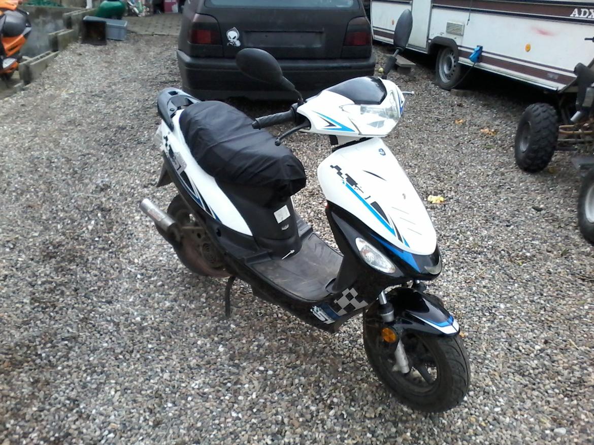 VGA Digita (vinter ged) billede 3