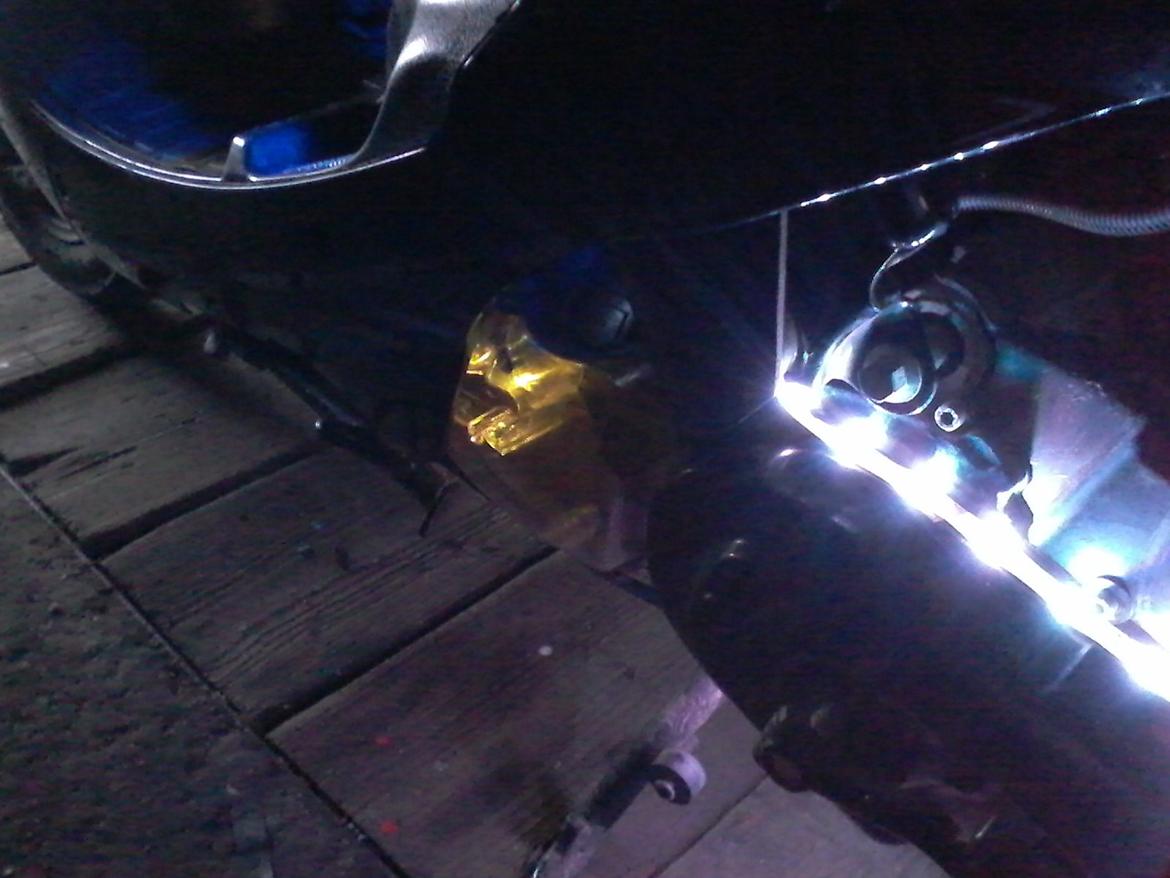 VGA Digita (vinter ged) billede 11