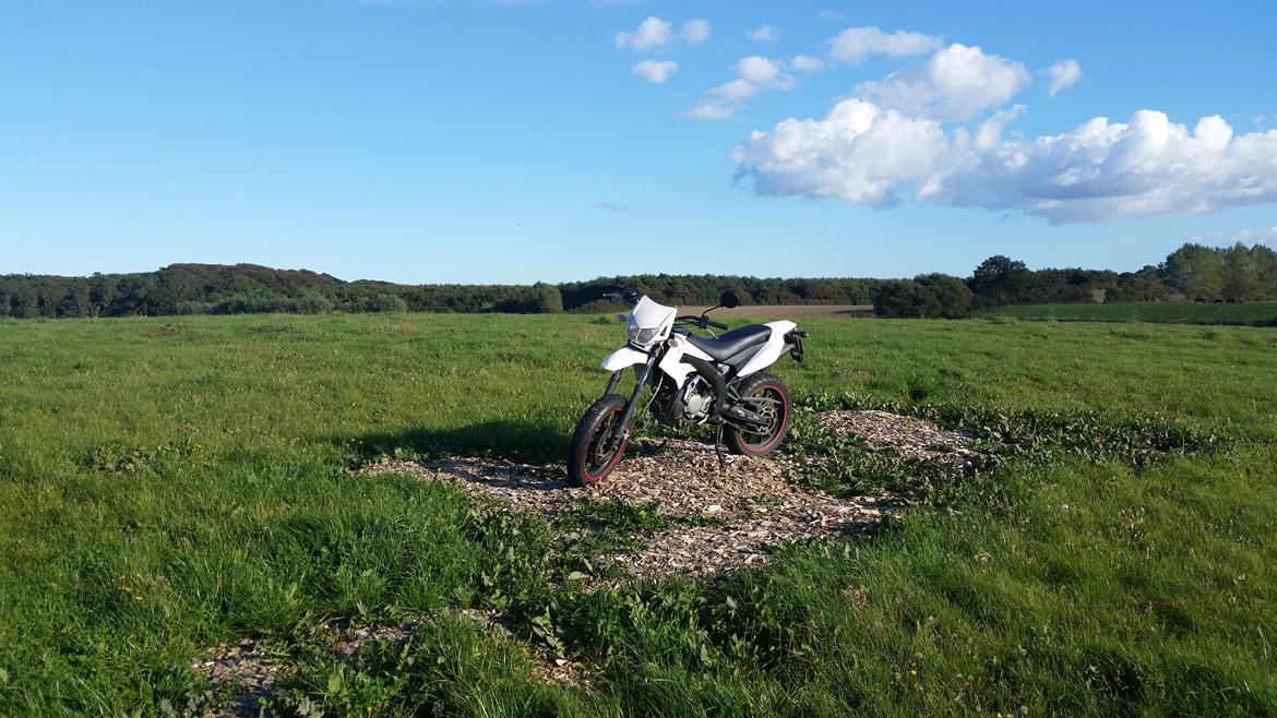 Derbi Senda Supermotard DRD billede 7