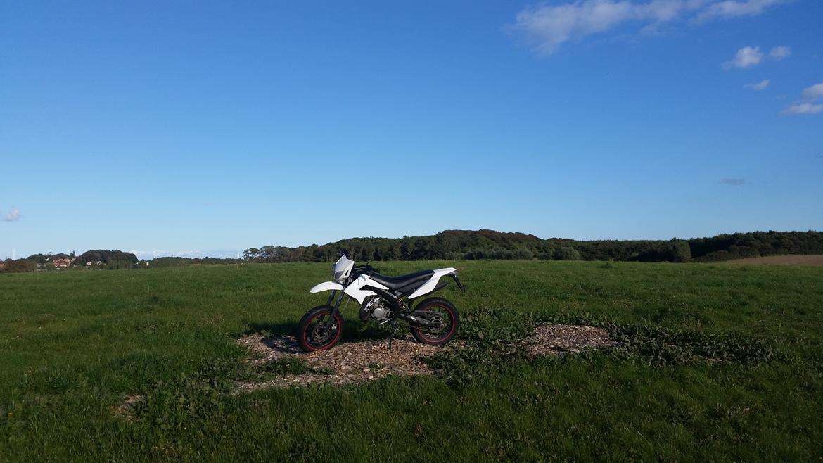 Derbi Senda Supermotard DRD billede 10