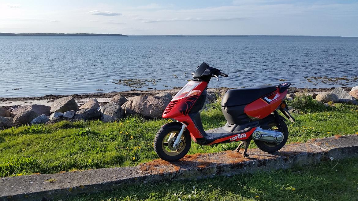 Aprilia Sonic Grand Prix (tidligere scooter) billede 2