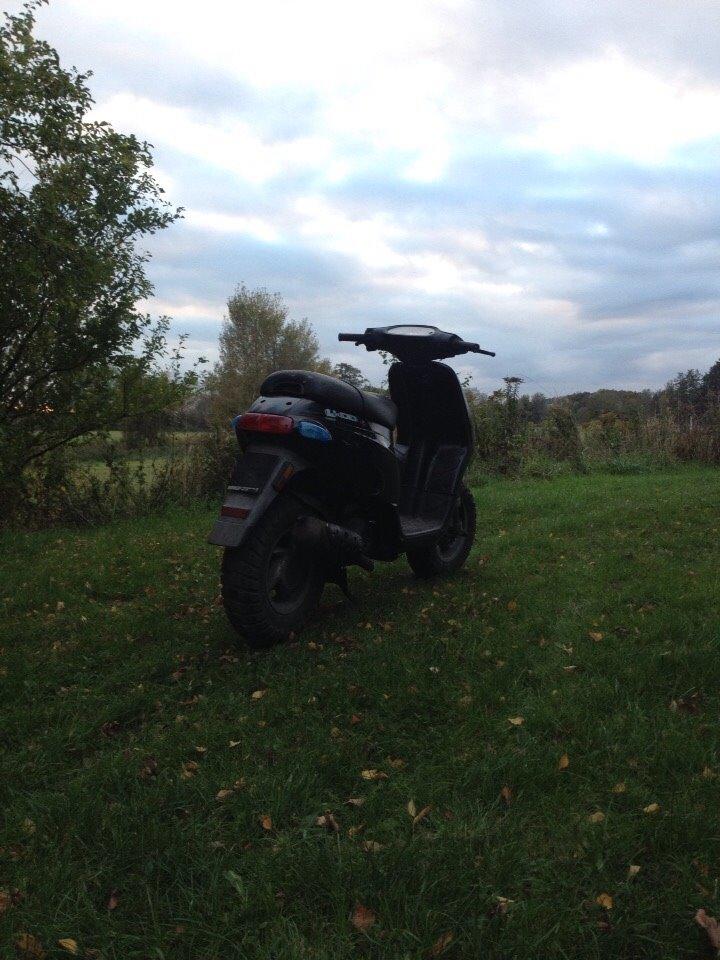 Piaggio Typhoon.. Solgt billede 1