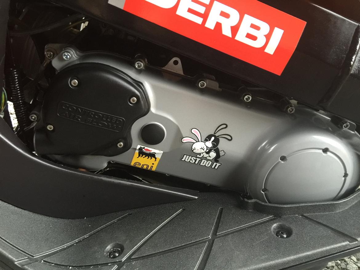 Derbi GP1 Racing - Malossi Replica billede 3