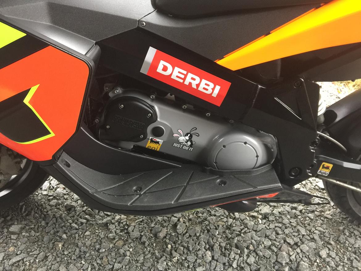 Derbi GP1 Racing - Malossi Replica billede 2