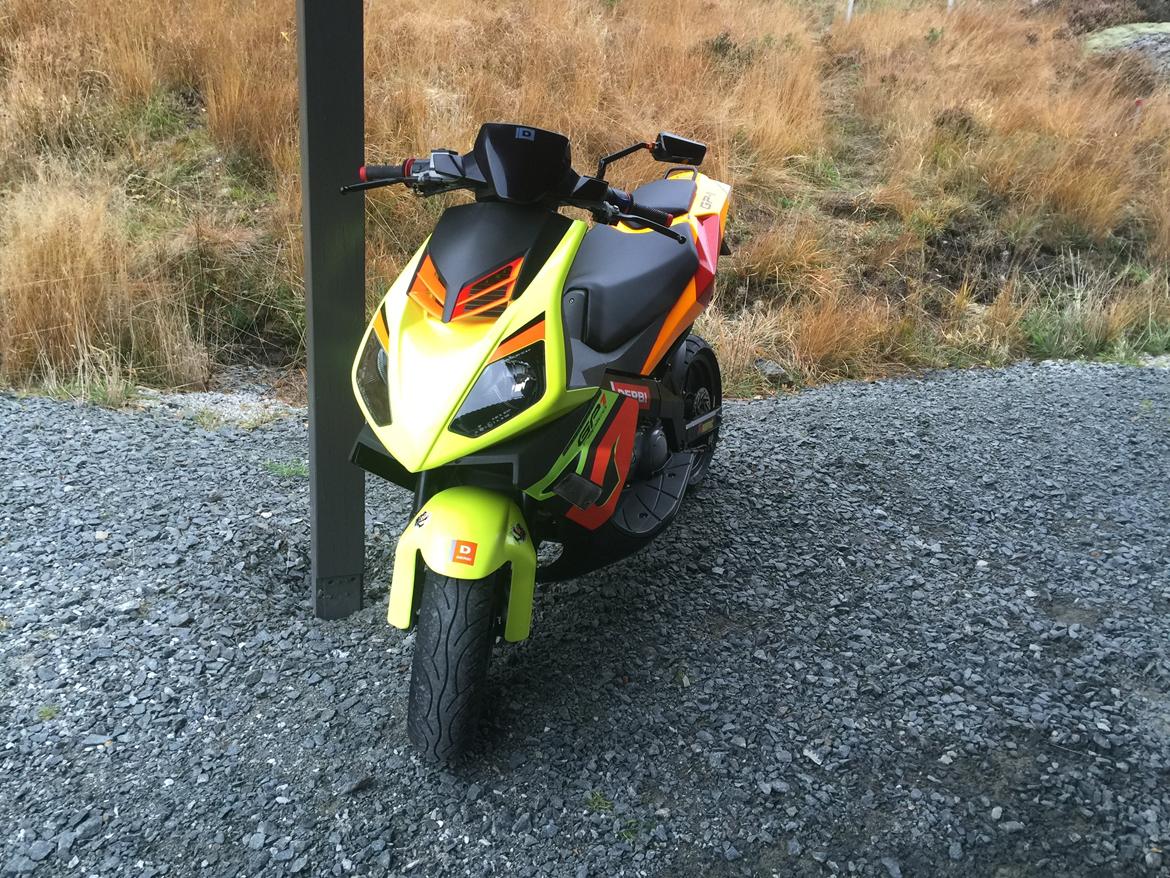 Derbi GP1 Racing - Malossi Replica billede 6