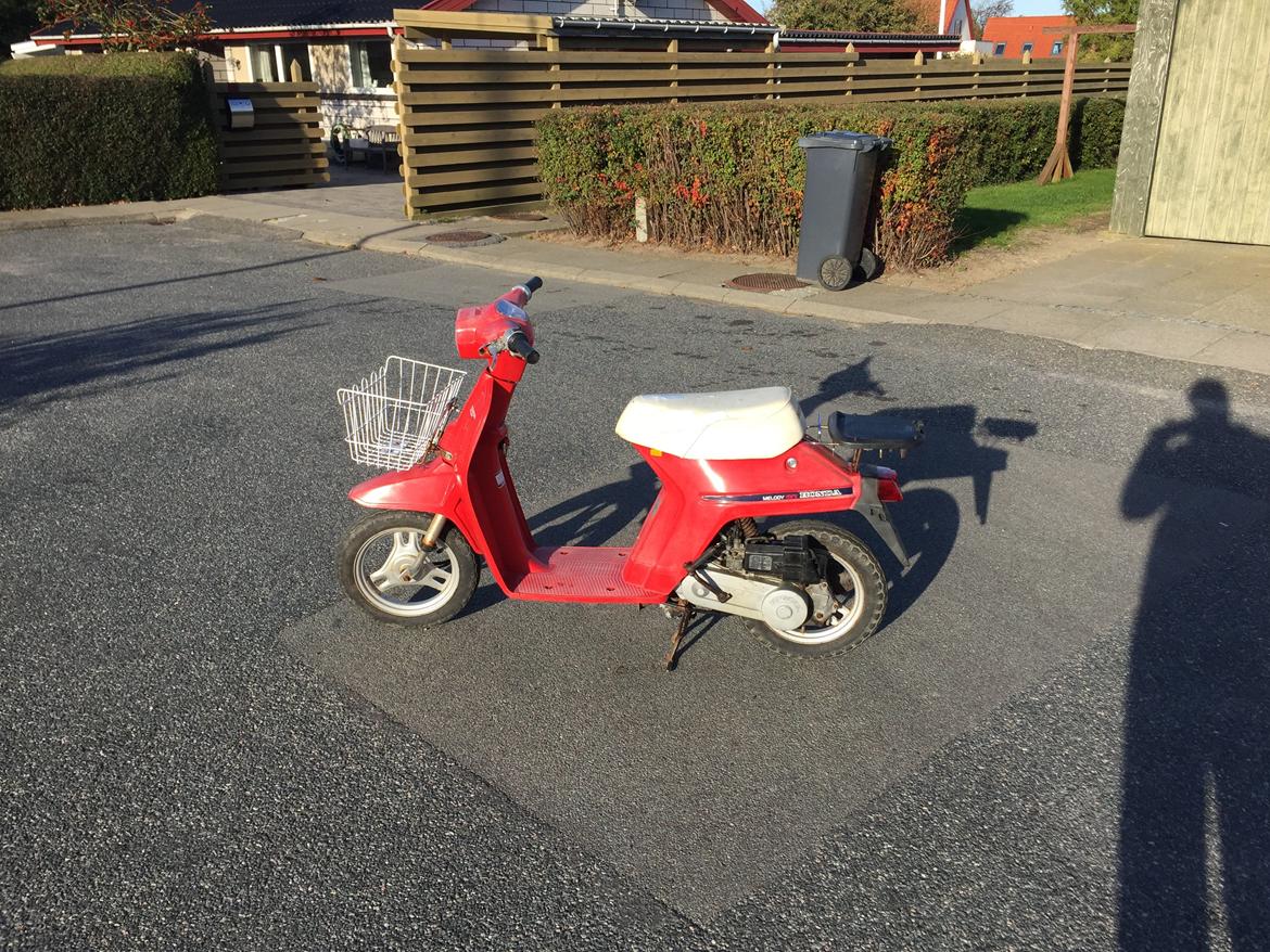 Honda Melody Mini NT50 billede 1