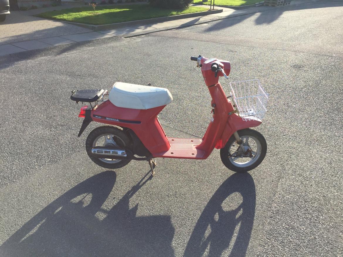 Honda Melody Mini NT50 billede 2