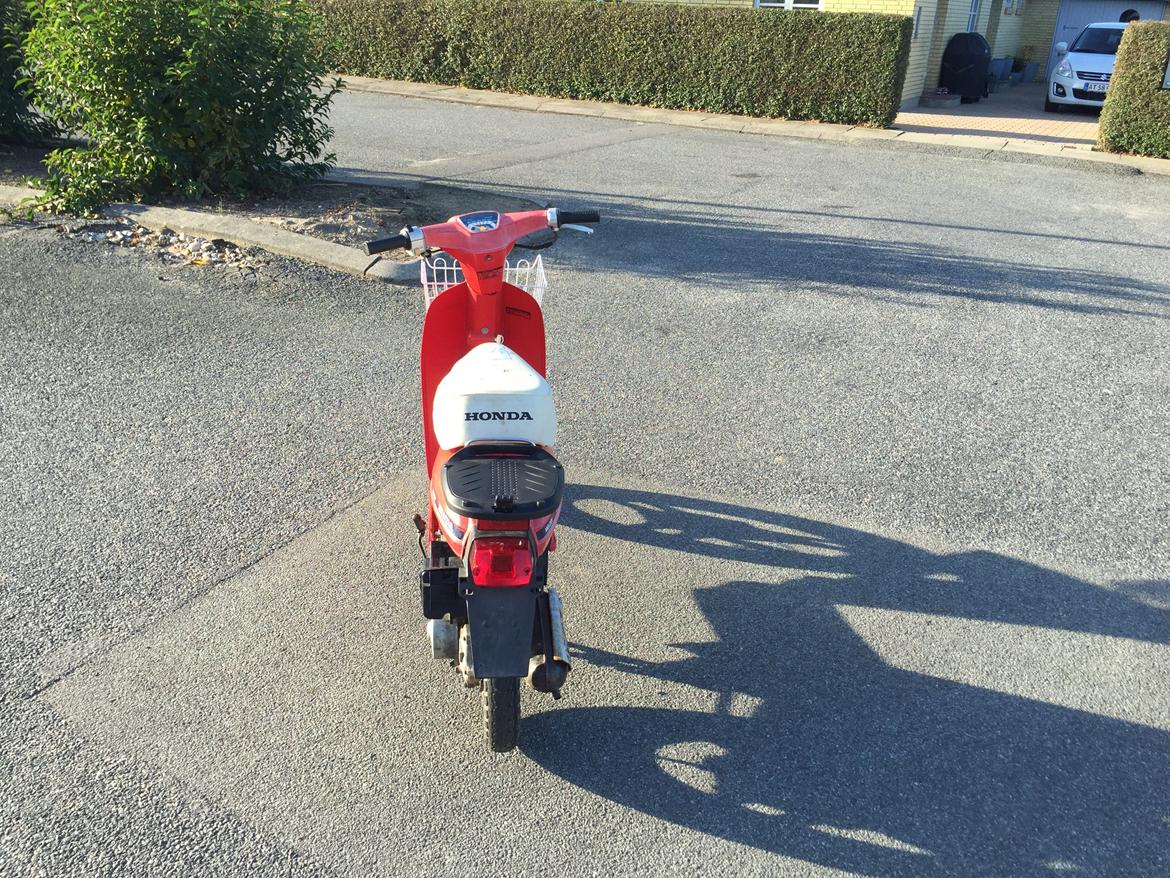 Honda Melody Mini NT50 billede 3