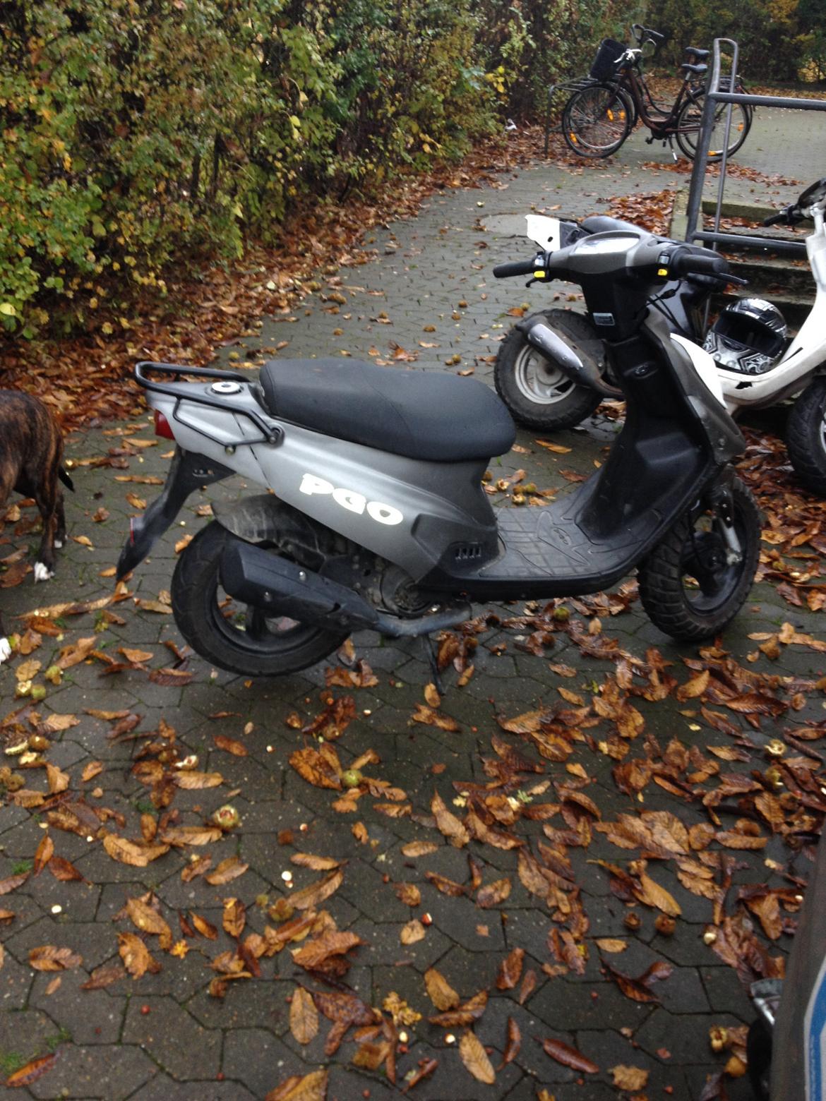 PGO Hot 50 billede 8