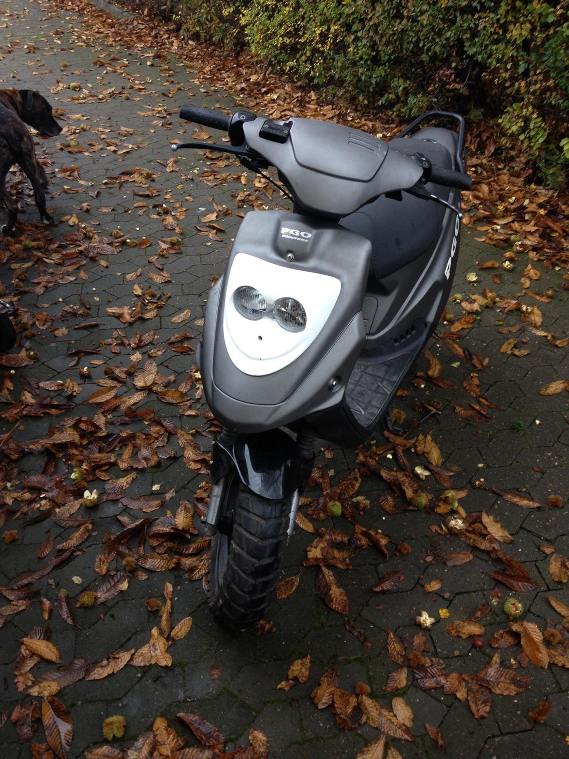 PGO Hot 50 billede 11