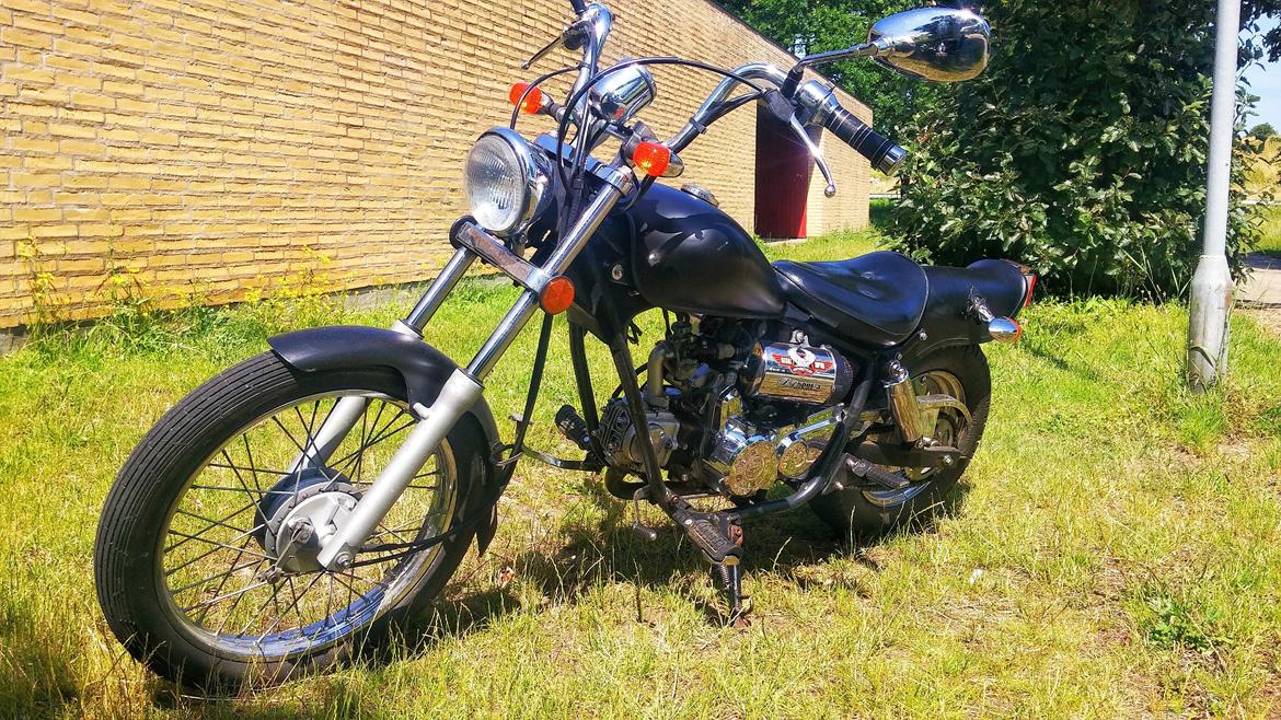 Regal Raptor billede 1