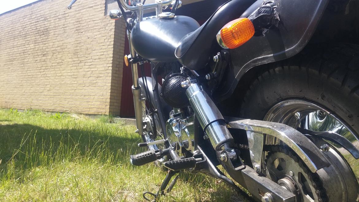 Regal Raptor billede 2