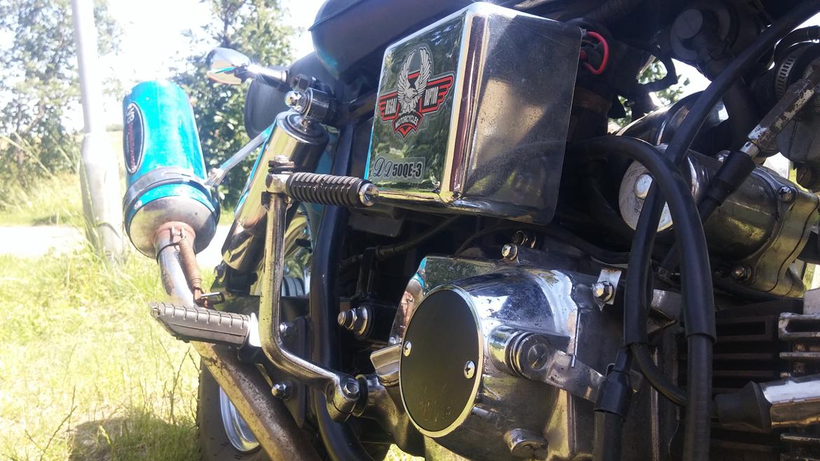 Regal Raptor billede 3