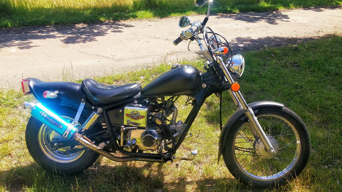 Regal Raptor billede 5