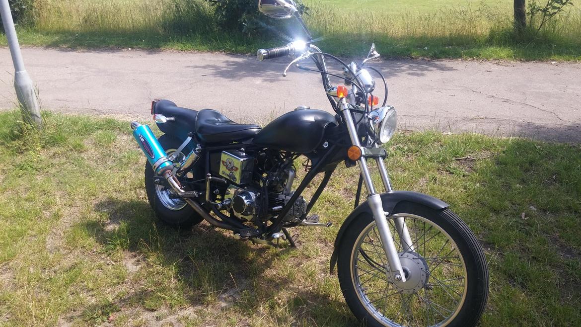 Regal Raptor billede 6