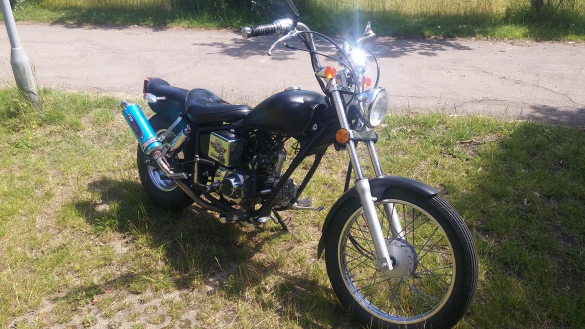 Regal Raptor billede 7