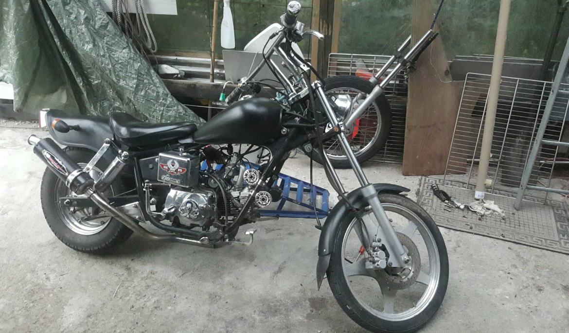 Regal Raptor billede 8