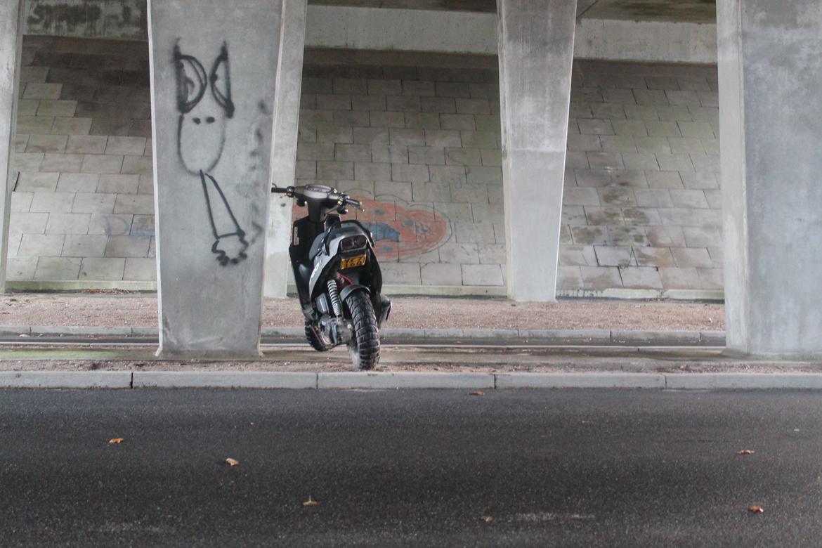 PGO Hot 50 billede 10