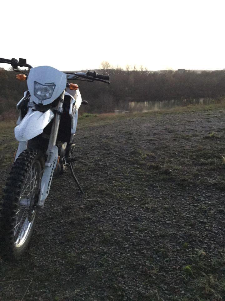 Generic Trigger X 50cc billede 4