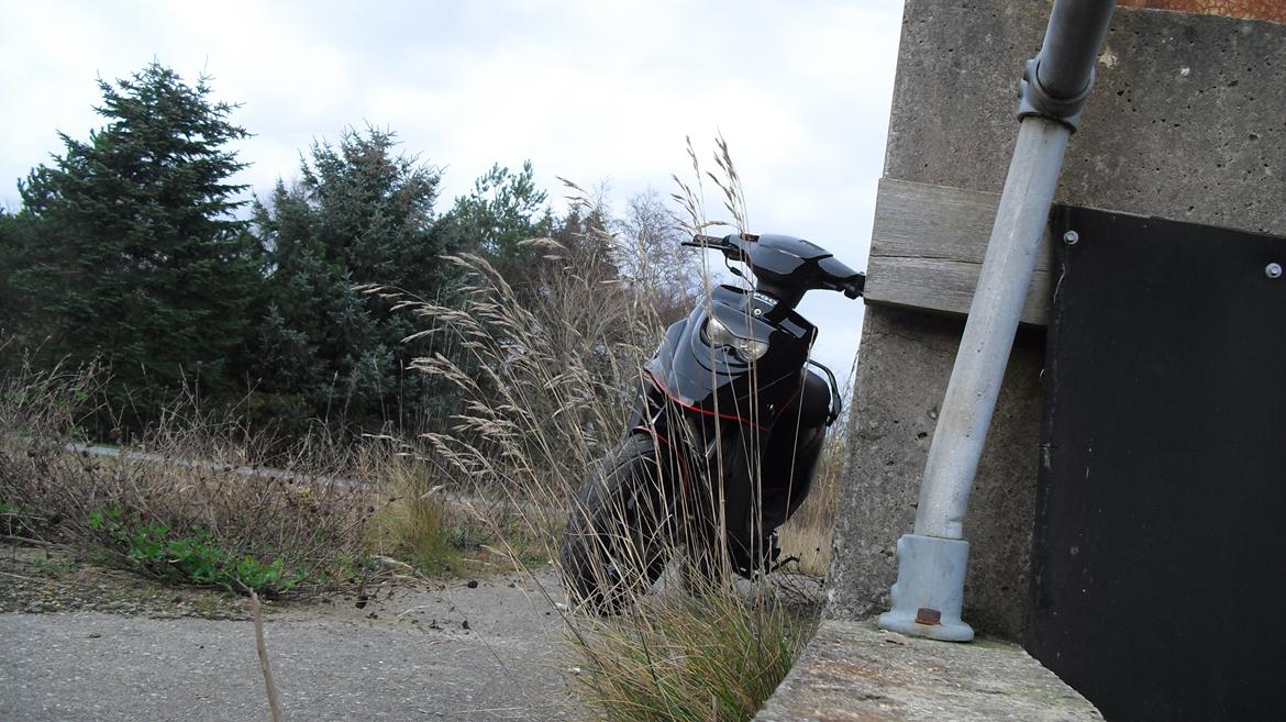 PGO Hot 50 billede 10