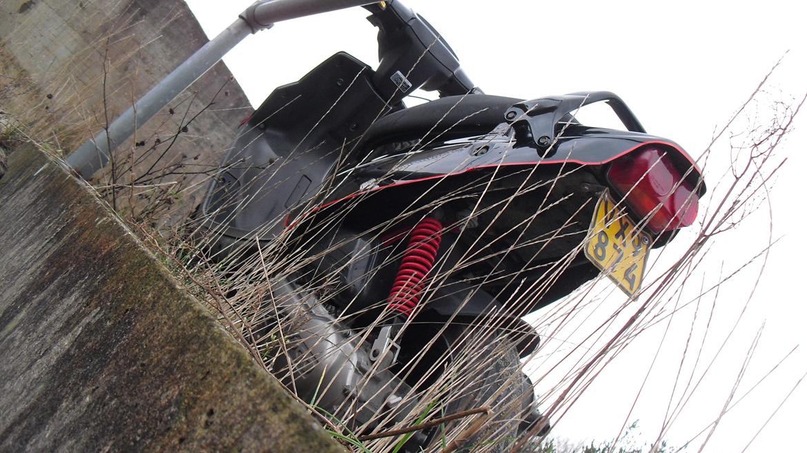 PGO Hot 50 billede 11