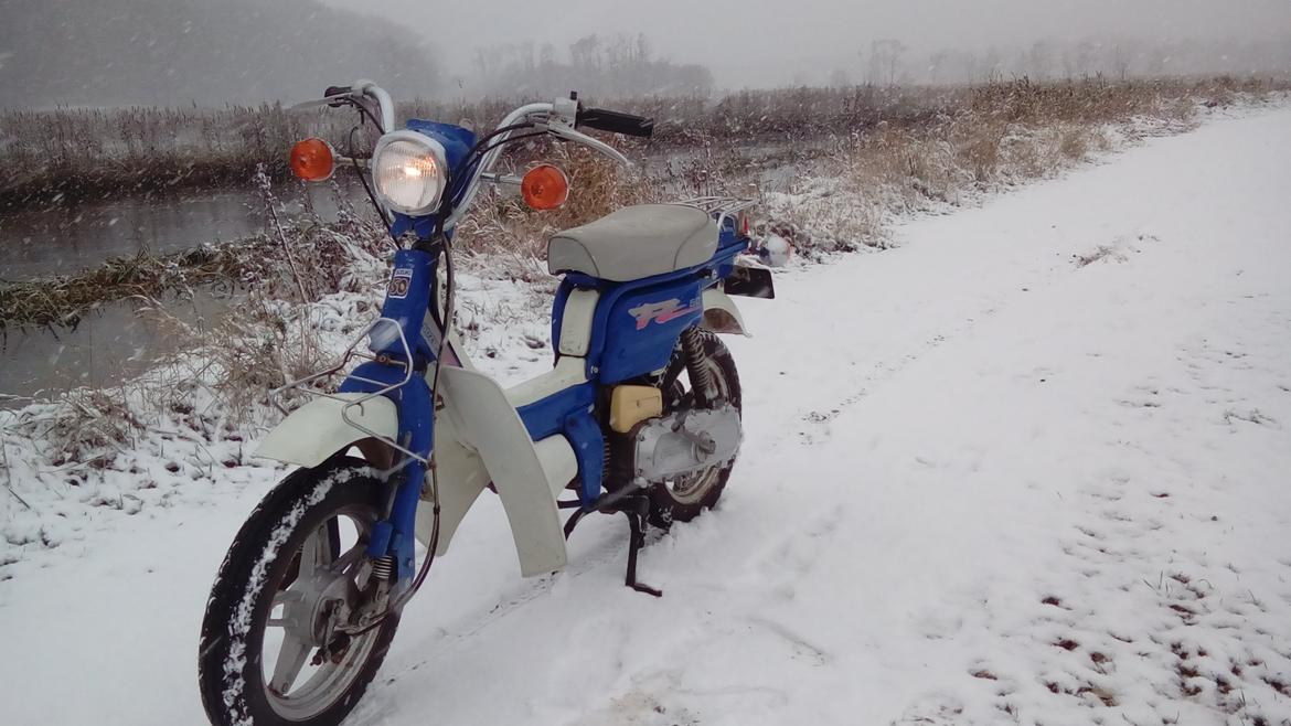 Suzuki FZ50 billede 3