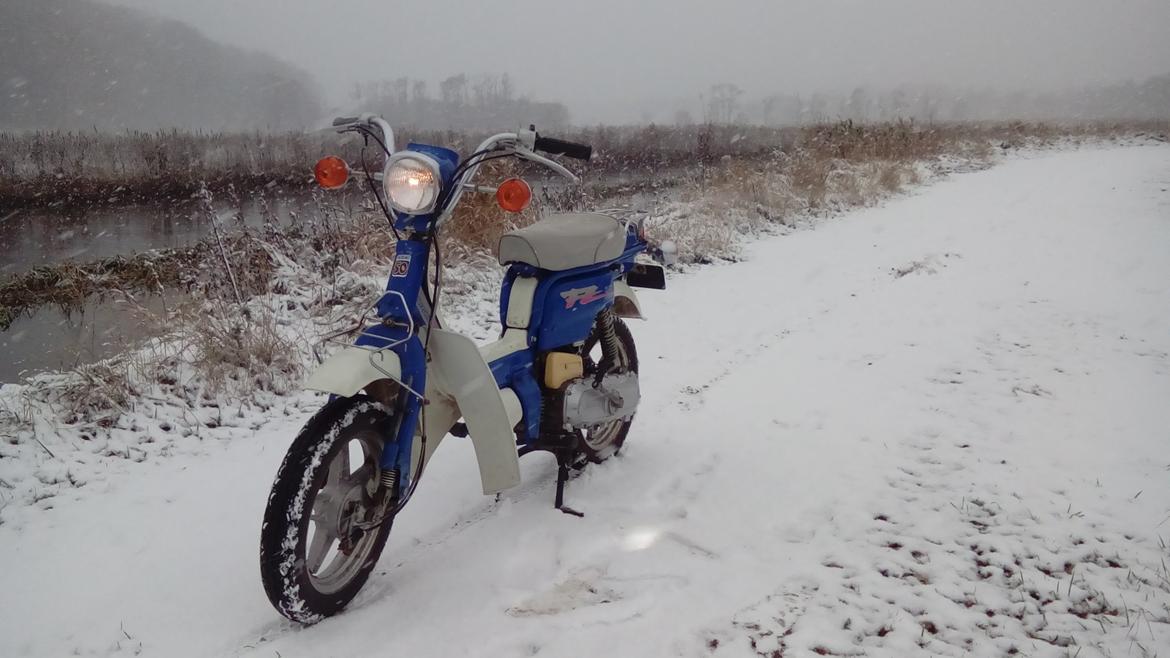 Suzuki FZ50 billede 8