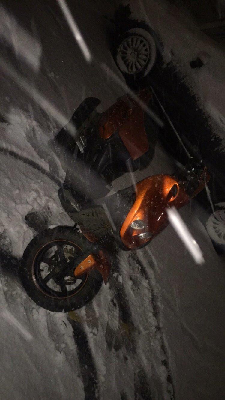 PGO Pmx sport billede 3