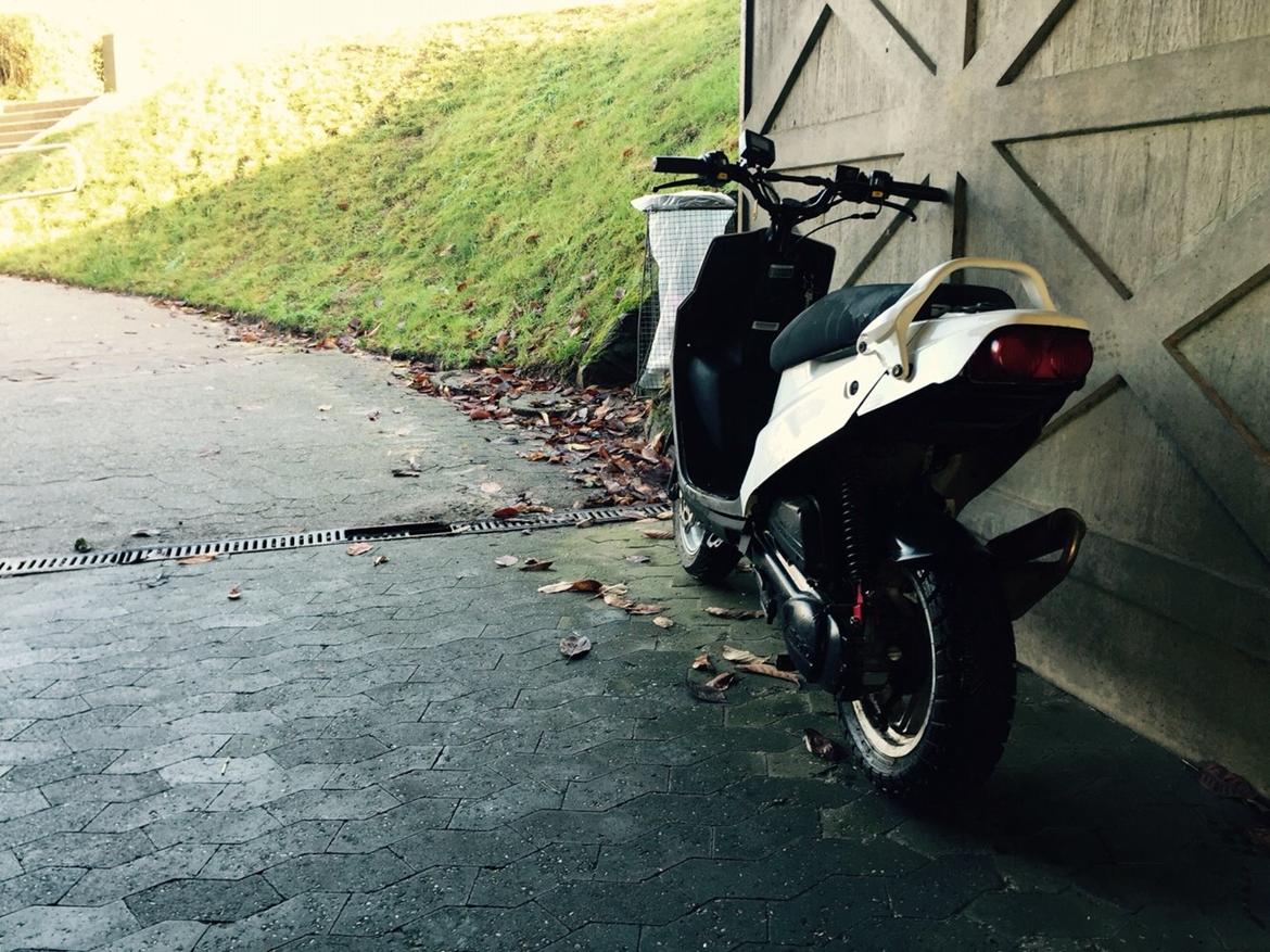 PGO Hot 50 Naked billede 1