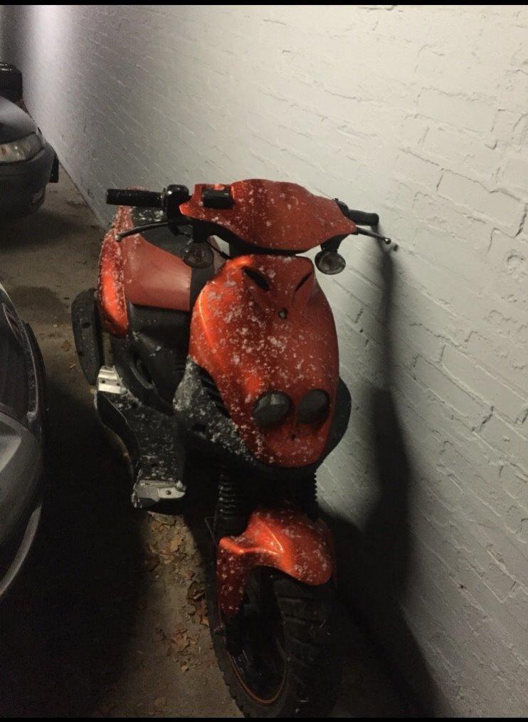 PGO Pmx sport billede 2