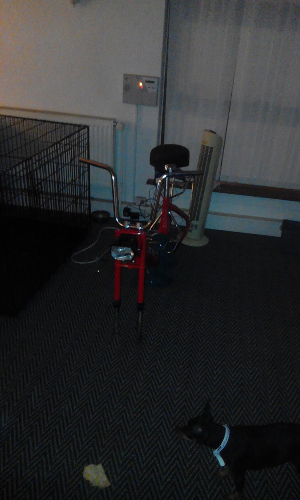 Puch Maxi K billede 6