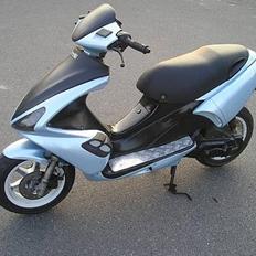 Benelli 491 ST - TIL SALG