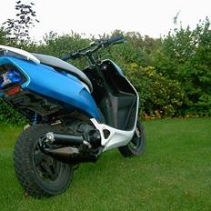 Honda SFX *Evil Sport* "SOLGT"